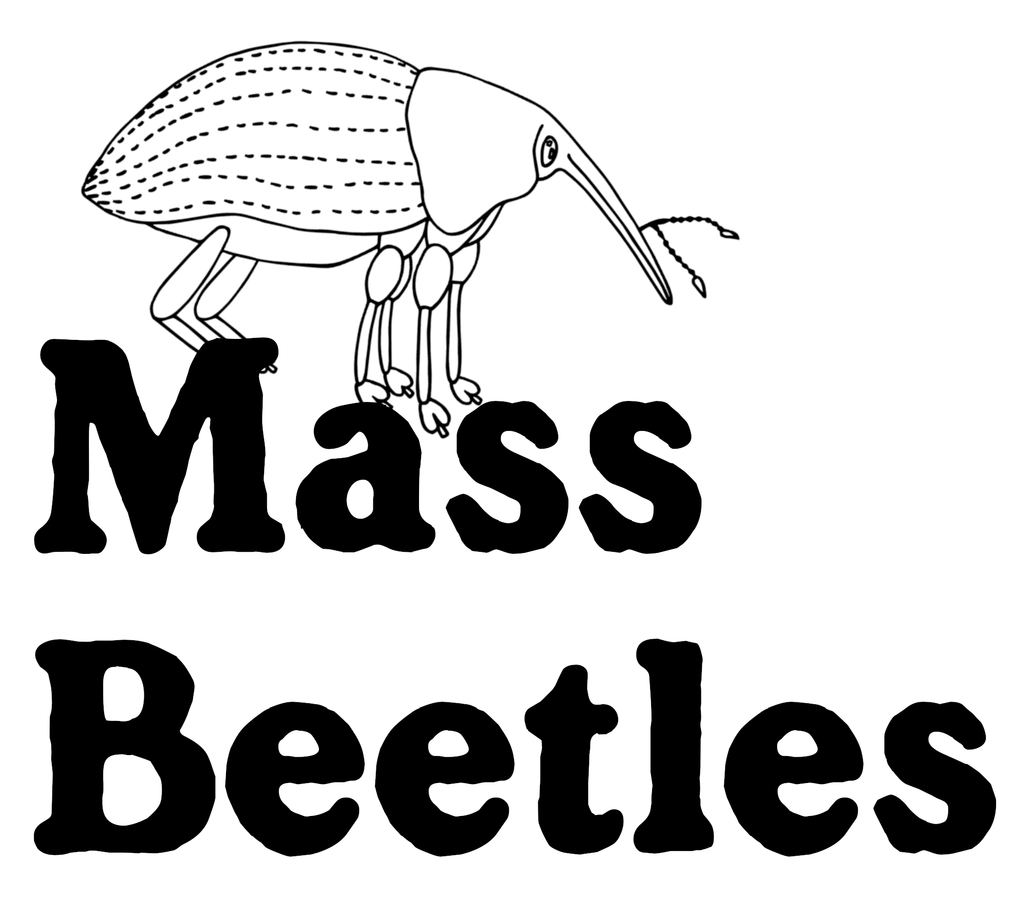 mini MassBeetles logo